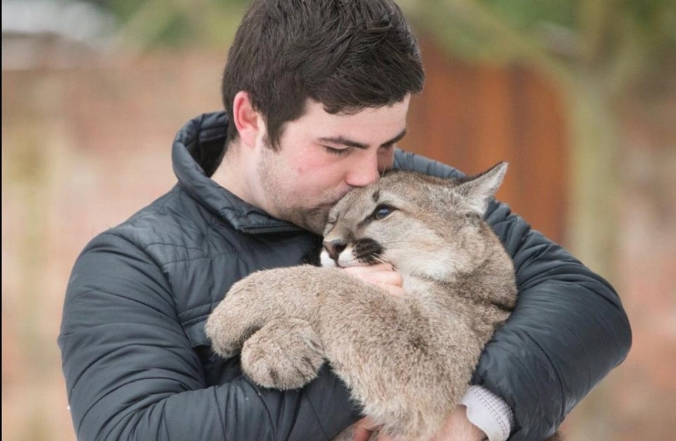 Mr Oliver's love of keeping big cats has sparked complaints from his neighbours