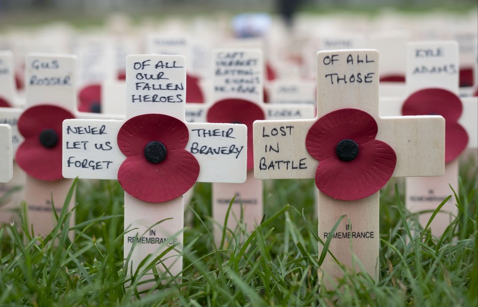 Harry says we must remember many soldiers were 'kids who died defending their country'