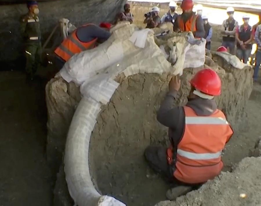 The skeletons of 200 mammoths have been unearthed by archaeologists in Mexico