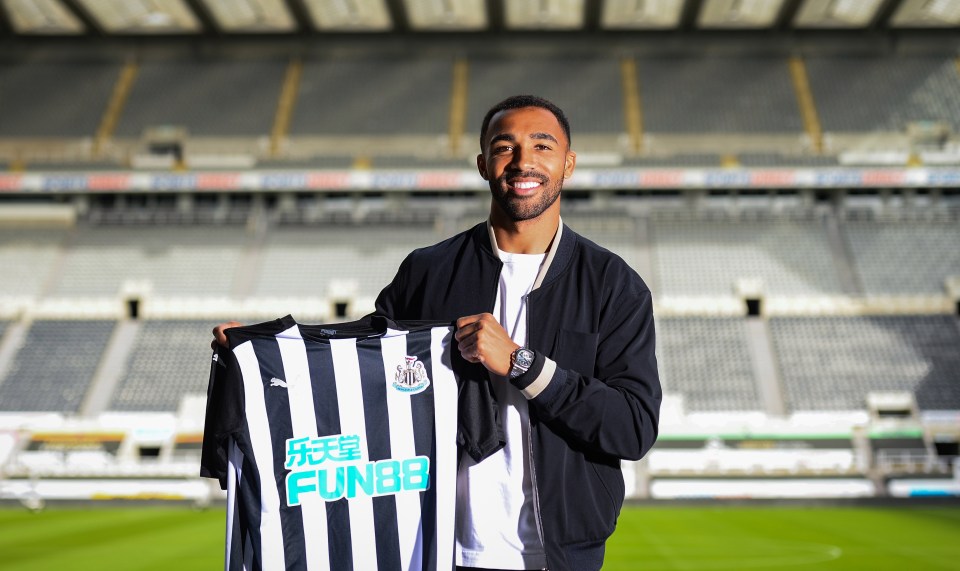 Callum Wilson sealed a four-year £20million move to Newcastle from Bournemouth this week 