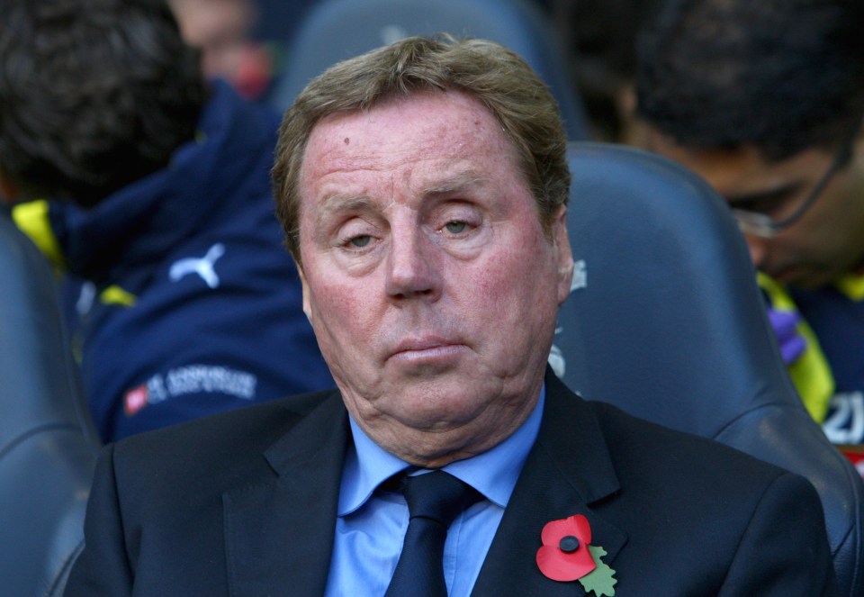 Former footie boss Harry Redknapp tonight backed our Poppy Appeal campaign