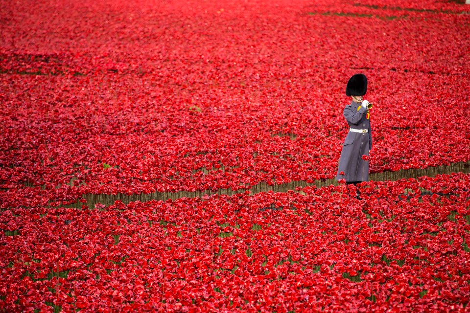 The Sun is urging Brits to save this year's Poppy Appeal