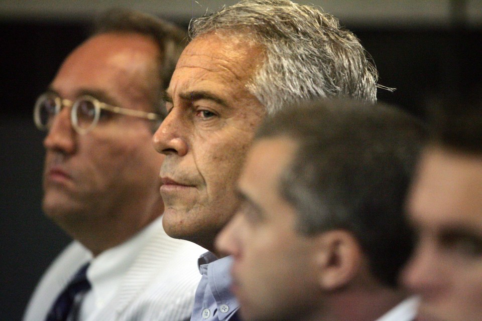 Epstein watched explicit videos for 'inspiration' on his private island, an insider revealed