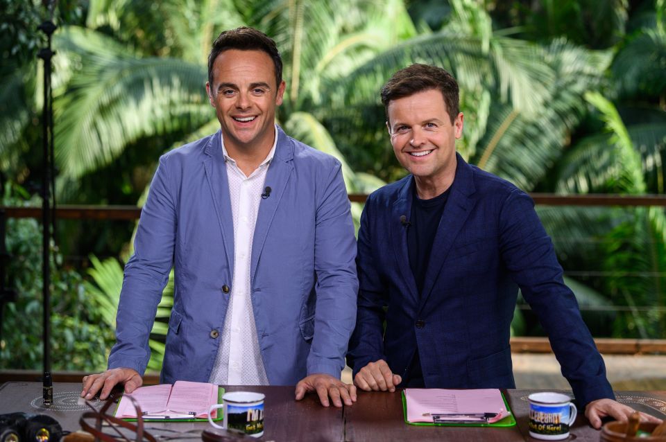 Ant McPartlin and Declan Donnelly on I'm A Celebrity... Get Me Out Of Here!