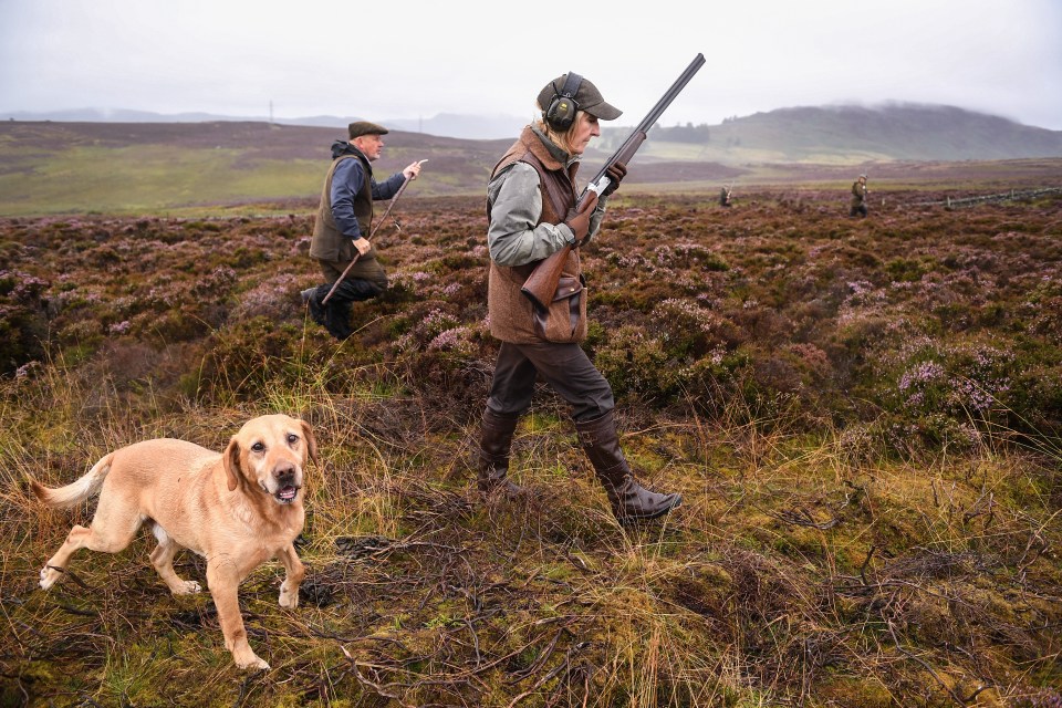 Hunting and shooting parties will be able to hold gatherings of up to 30 people