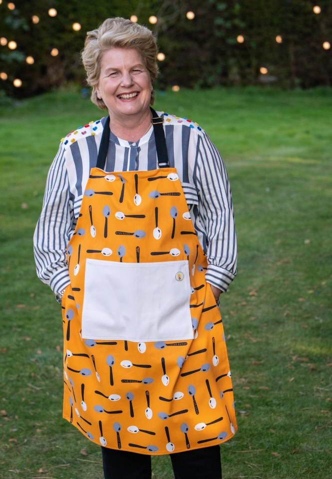 Sandi Toksvig left Great British Bake Off in January 2020