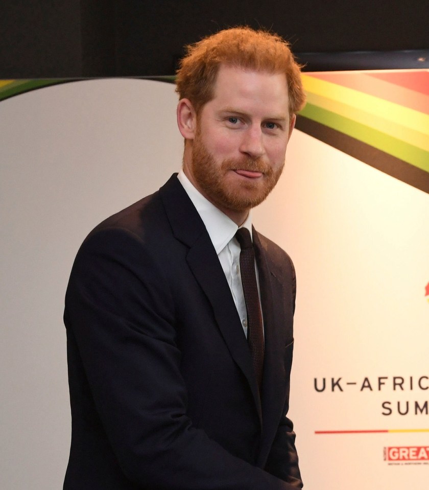 Prince Harry has aspirations to be filmmaker 