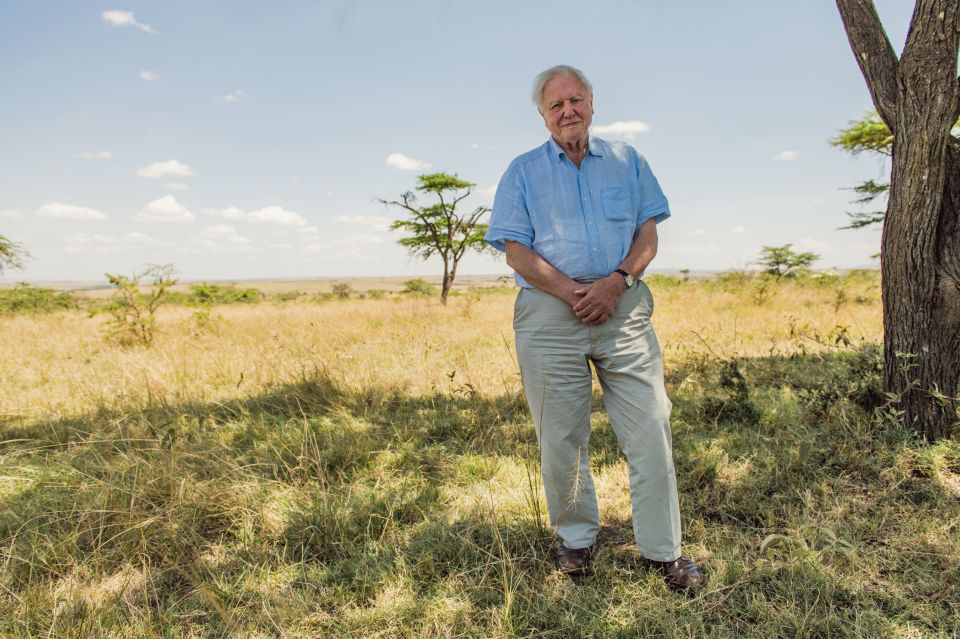 Sir David Attenborough's incredibly important documentary pulls no punches