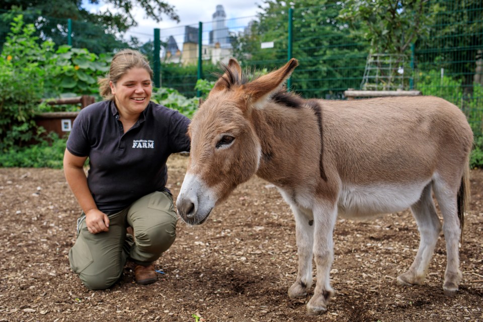 For more than 40 years Spitalfields City Farm has been a valuable community learning resource in the heart of Tower Hamlets, East London