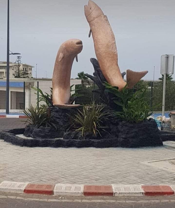 This statue of fish leaping in Morocco were demolished