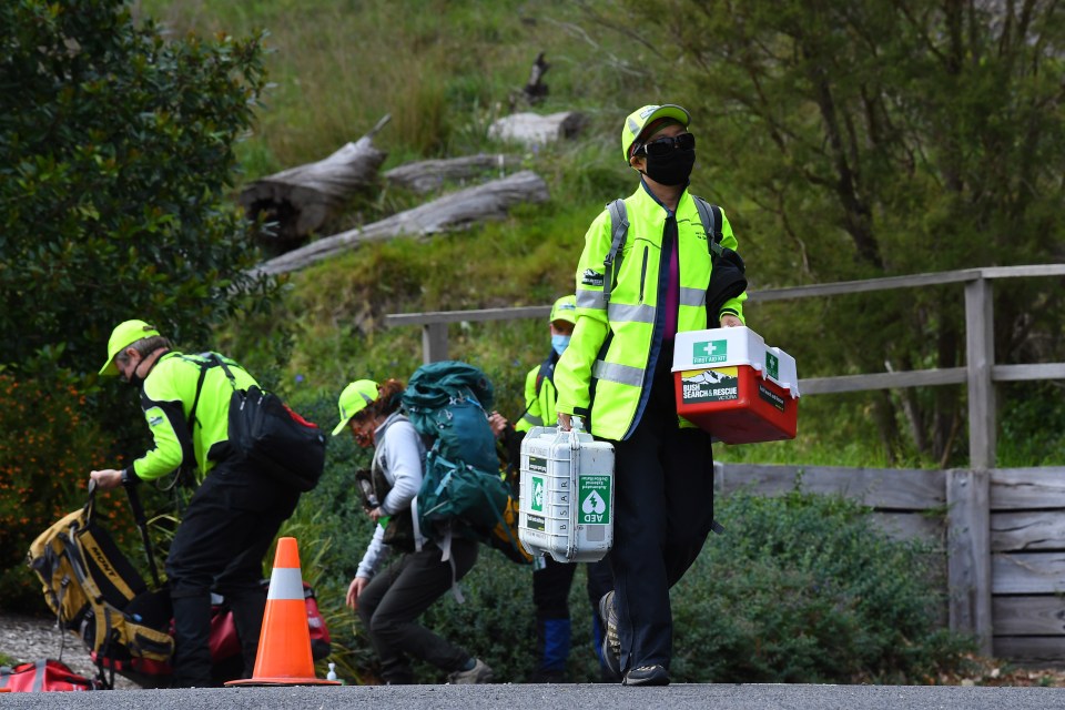 Dozens of locals volunteered to help rescuers look for him