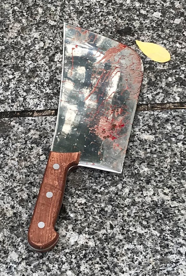 A meat cleaver believed to have been used by the attacker