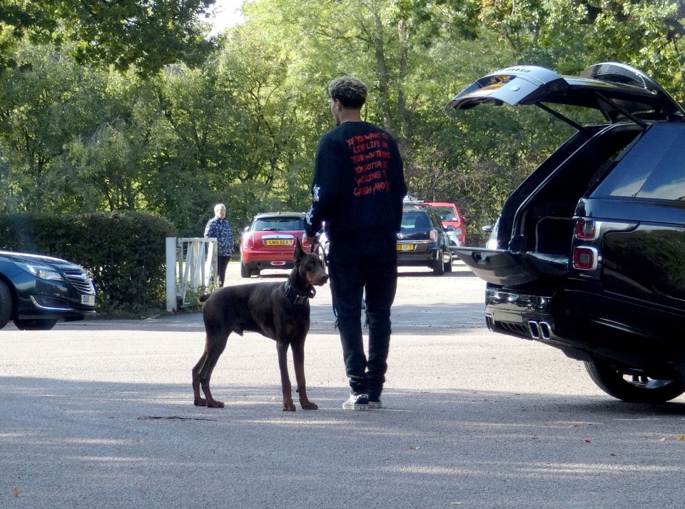 The star has plenty of time on his hands to walk his dog