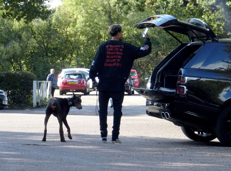 The midfielder had approached two firms specialising in security dogs