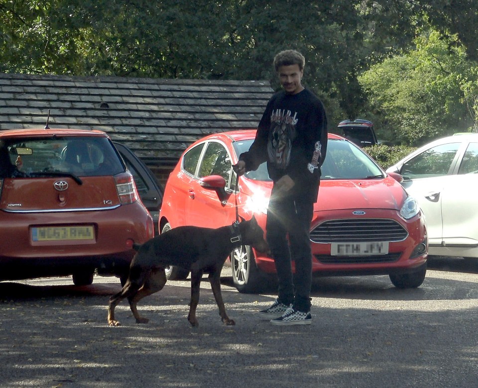 Dele Alli took his guard dog out for a walk in London