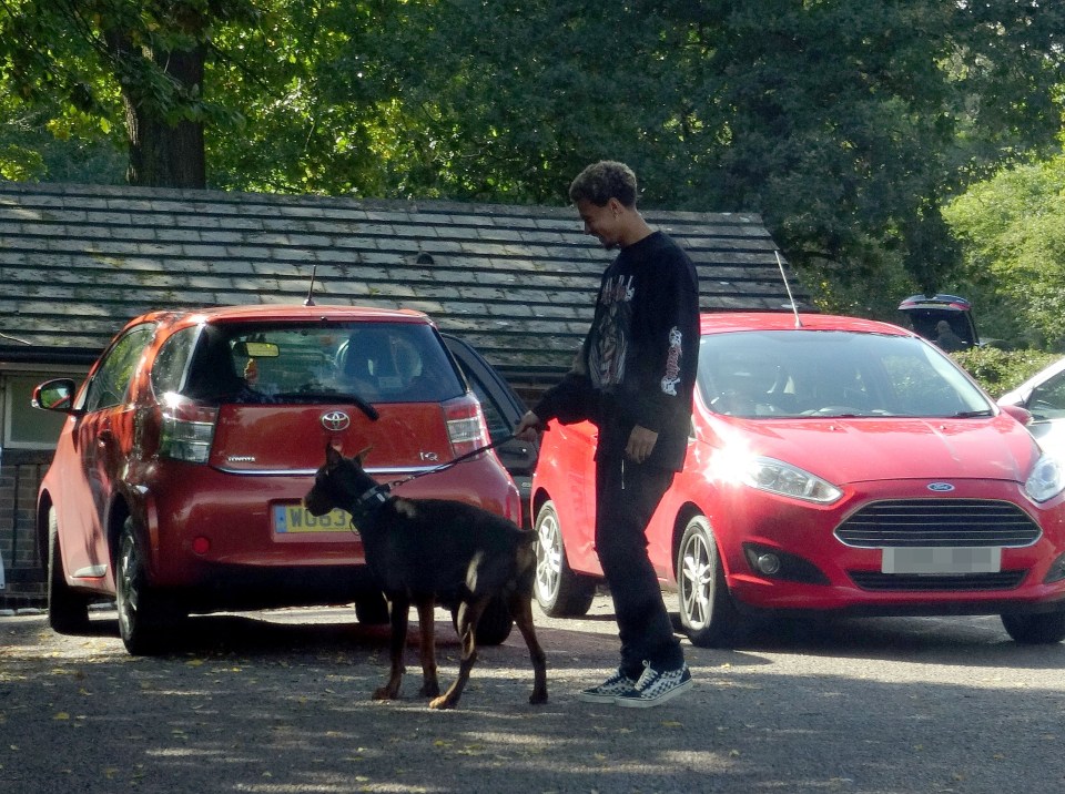 The midfielder bought the dog after being robbed at knife point