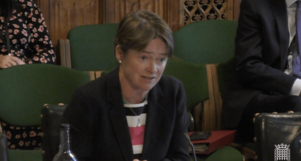 Baroness Harding admitted demand for testing was outstripping capacity