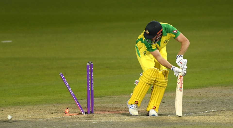 England bowled the Aussies out for 207 after looking beaten