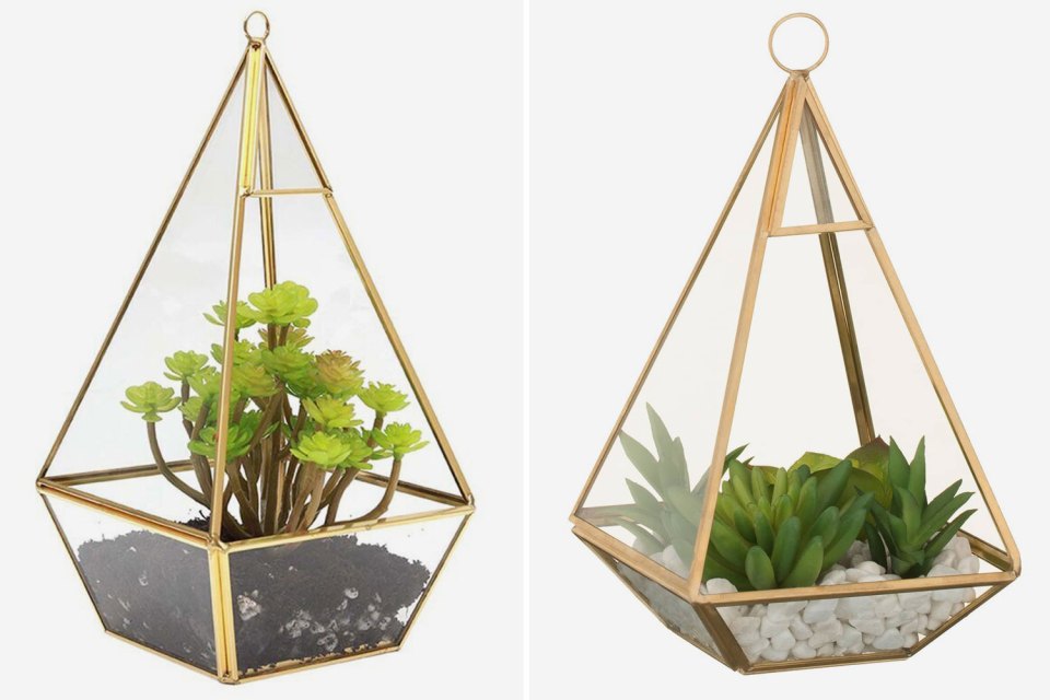 B&M's terrarium succulent is just £10, while Wayfair's Abbotsford glass terrarium comes in at £25.99