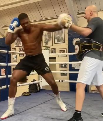 AJ showed off his devastating power ahead of the Pulev fight