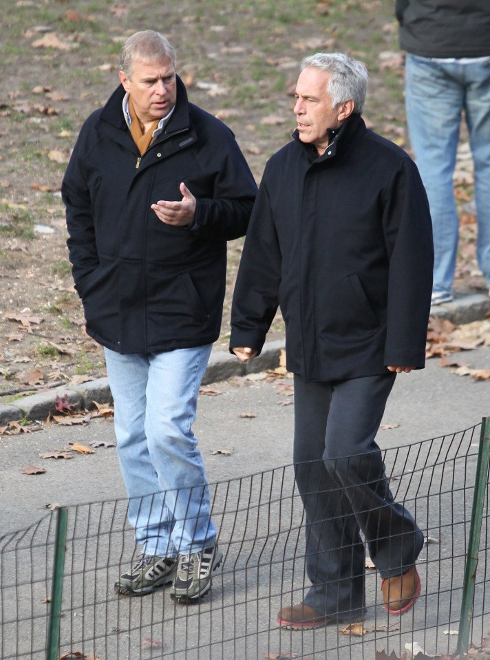 Prince Andrew visited Jeffrey Epstein in Manhattan after his release from jail