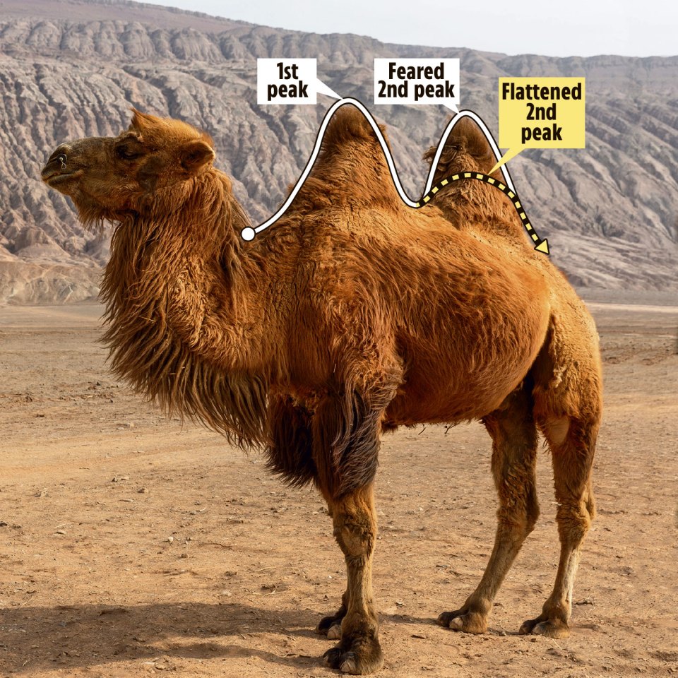 Boris Johnson warns Britain's coronavirus graph is starting to look like a camel's back