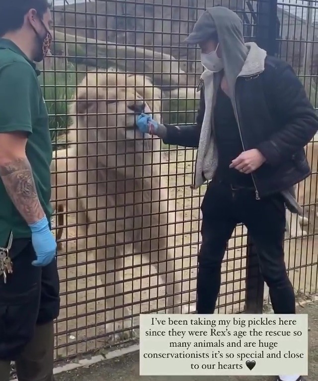 Joe had a go at feeding the lions which sent Rex into a ‘meltdown’