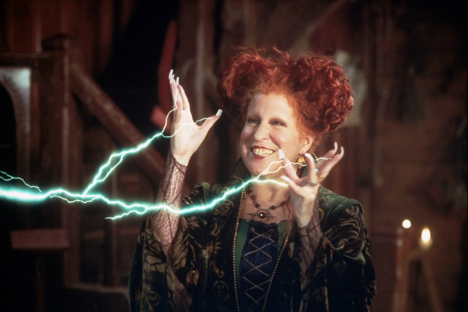 Hocus Pocus first hit screens in 1993