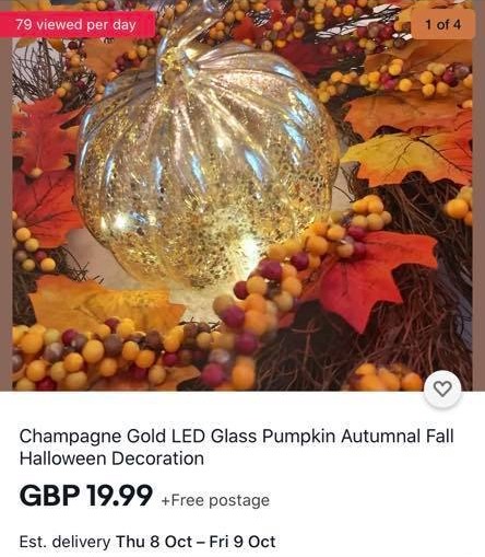 Poundland fans are outraged after seeing the pumpkins being sold for £20 on eBay