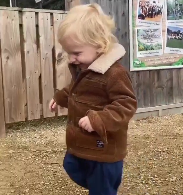 The little one-year-old looked amused as he saw some of his favourite animals