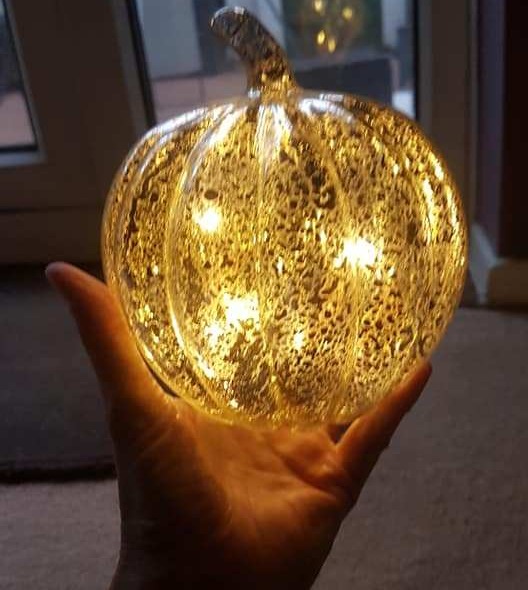 The glass light-up pumpkins from Poundland only cost £1.50