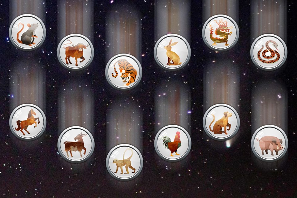 Chinese Zodiac Signs