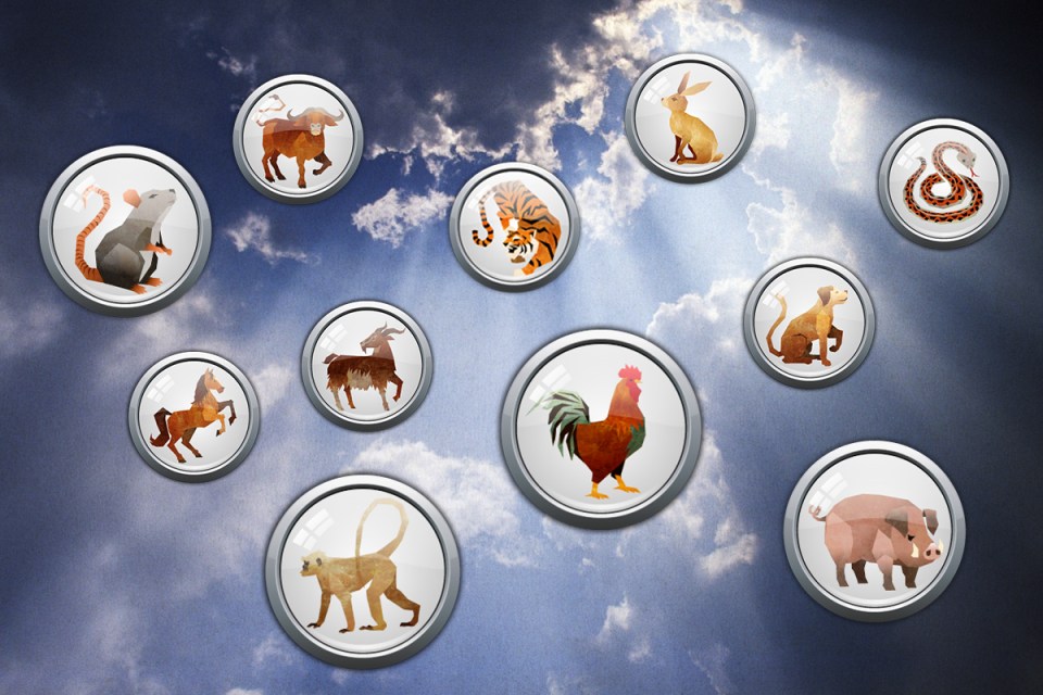 The 12 animals of the Chinese zodiac