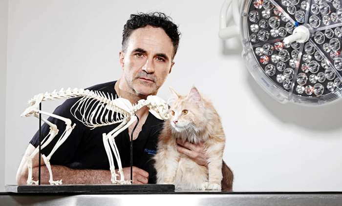 Noel is in the Guinness World Record for his pioneering operation on Oscar the cat