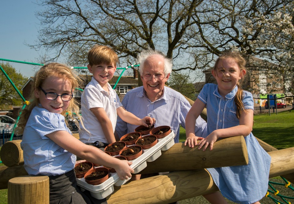 Peter Seabrook plants acorns with children from Galleywood Infant School