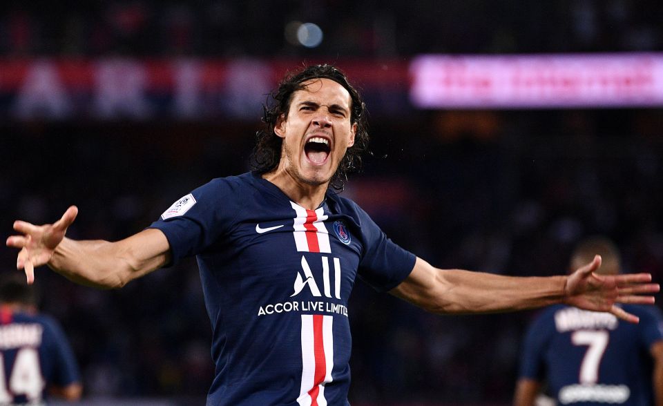 Edinson Cavani has over 100 goals in Serie A and Ligue 1 to his name