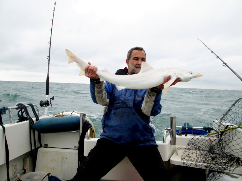 Jason Gillespie, 50, was deep-sea fishing with some friends when he caught a tope shark that was entirely white