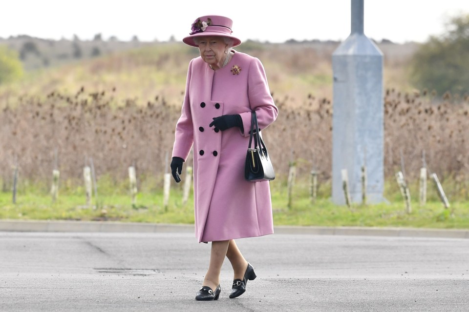 The Queen arrives to open the £35million Energetics Analysis Centre today