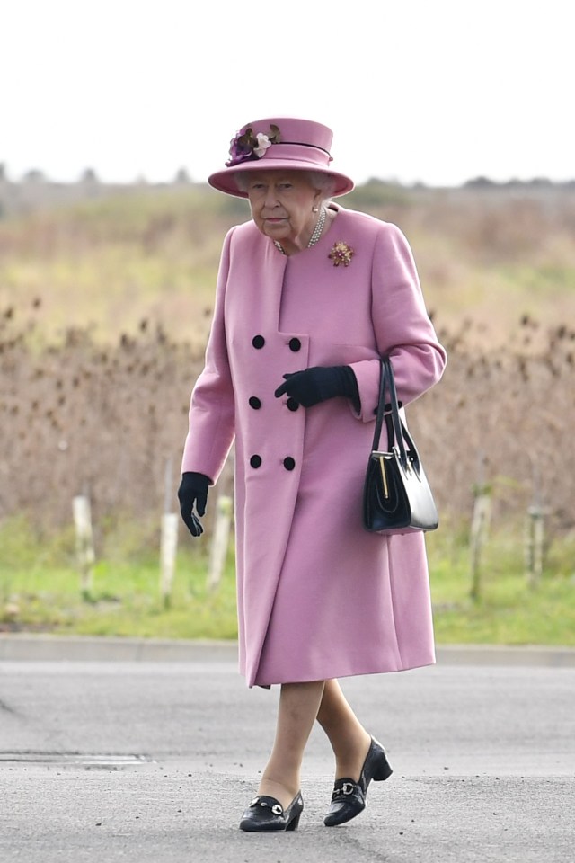 Her Majesty was flown in for the visit by helicopter