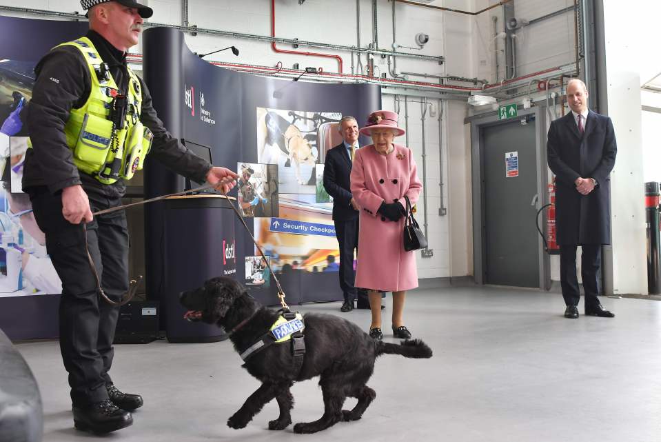 The royals meet explosives detection dog Max