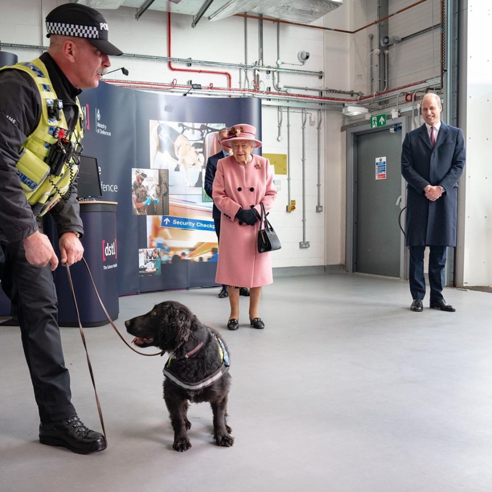 Explosives detection dog Max raised a smile in the Queen and the Duke