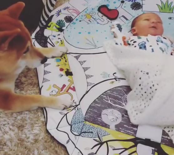 Dave also shared a sweet short clip of his baby son