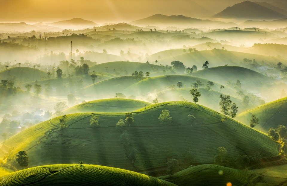 First runner up was a picture called Tea Hills by Vu Trung Huan, from Vietnam – showing the misty hills just before a beautiful sunrise