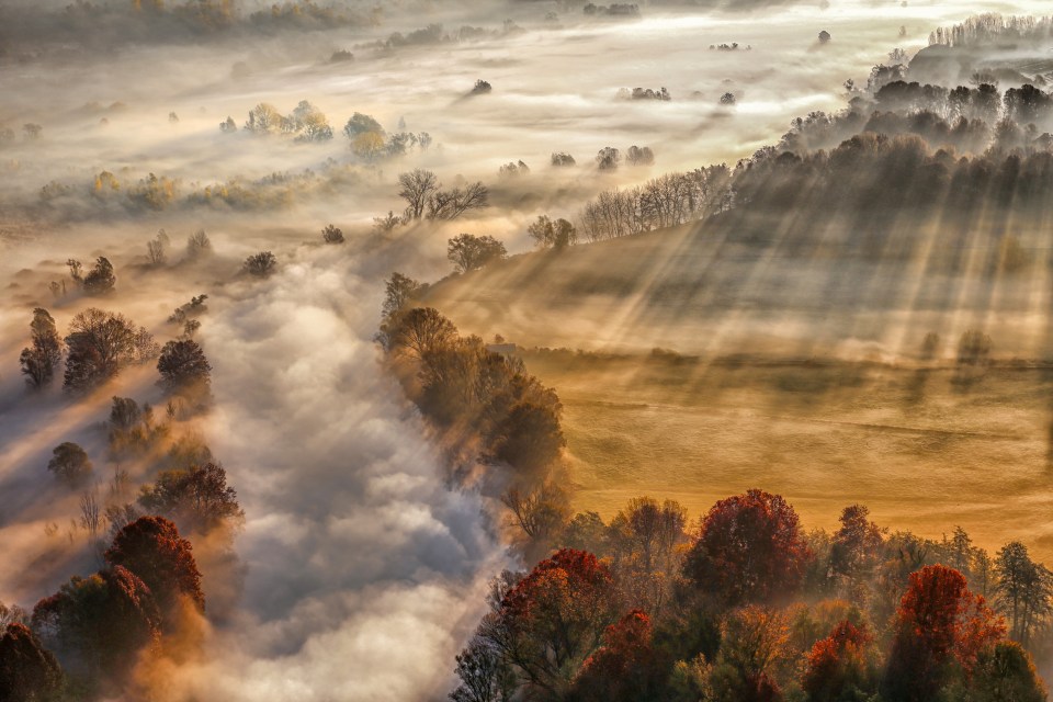 Dream by Madison shows early morning mist rippling through the autumnal land