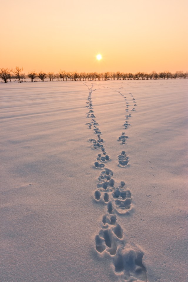 Picturesque winter sunset in Davor, Croatia