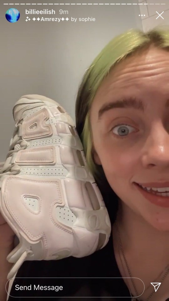 Billie Eilish has divided internet users as to whether her shoes are pink or green