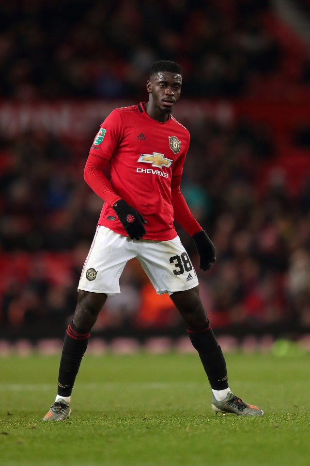 Axel Tuanzebe could prove to be a vital cog for Manchester United