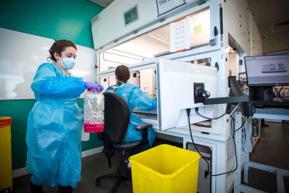 Scientists at work at the Glasgow Lighthouse coronavirus testing facility