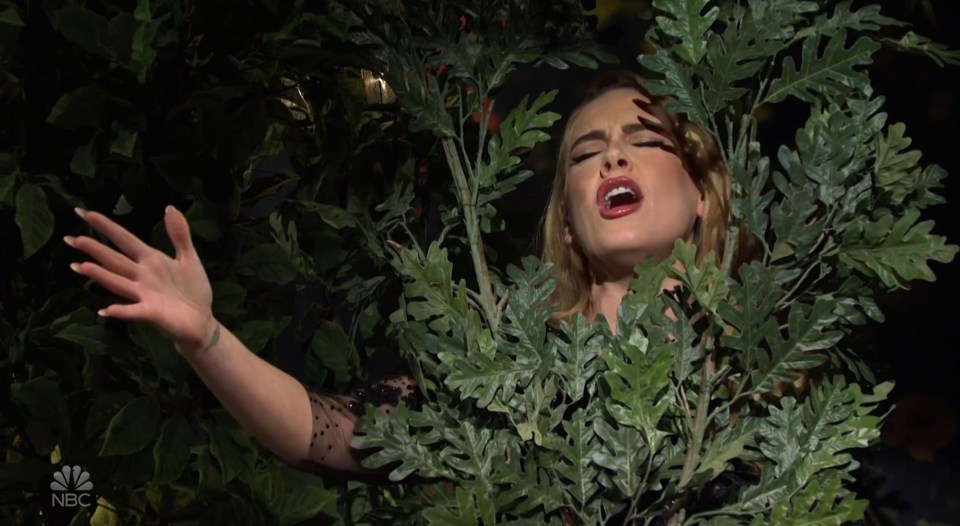 Rivals get fed-up with Adele singing Hello while spying in a bush