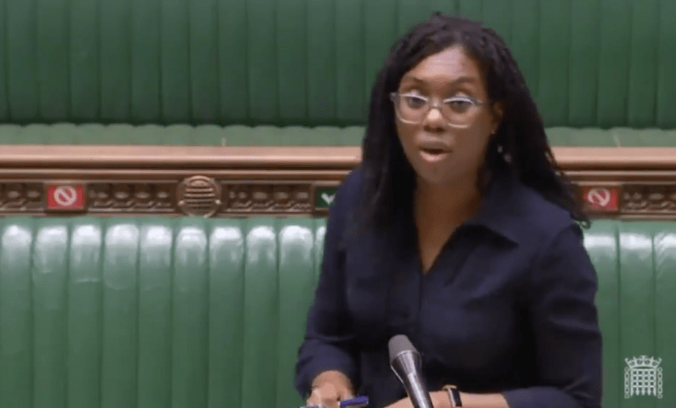 The Equalities Minister slammed Labour's suggestions "white privilege" should be taught in schools